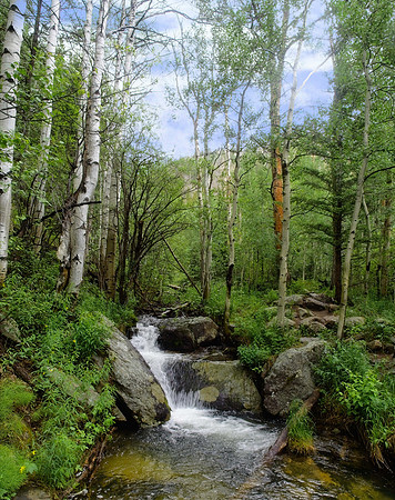 Rocky Mountain High