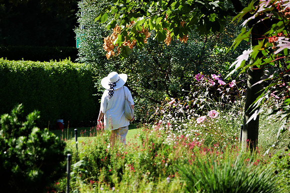 Strolling at the Arboretum