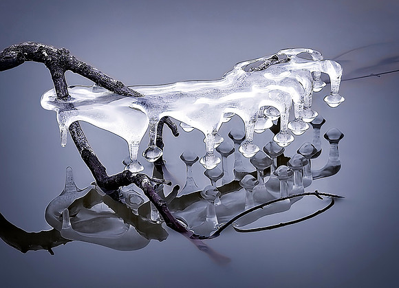 Frozen