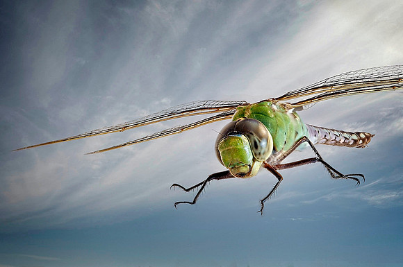 Landing Gear Deployed