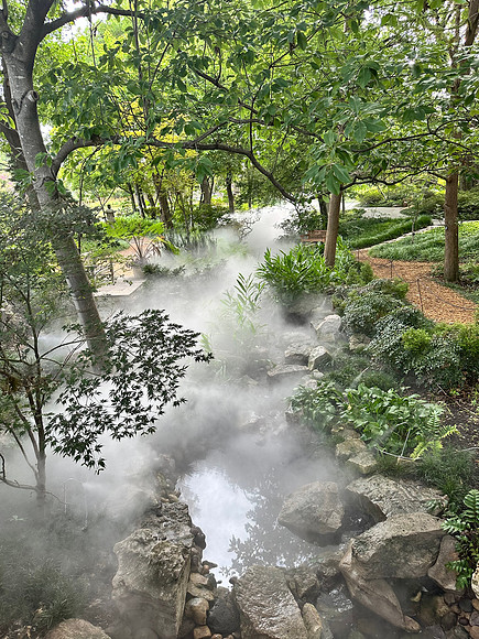 Mystical Moments in the Mist