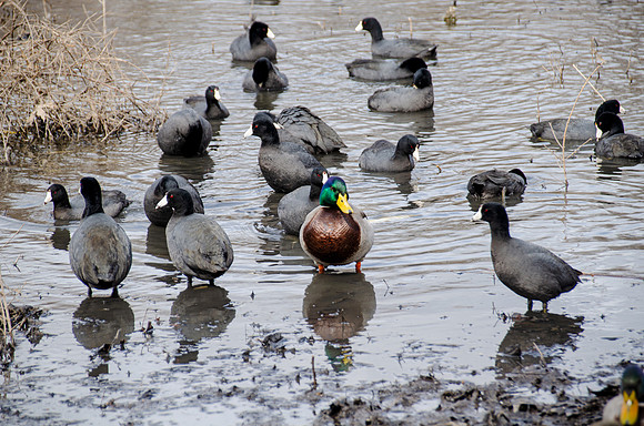 6 Standout in a Crowd