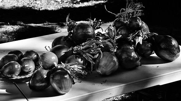 Fresh from the Farm