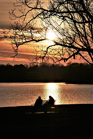 Golden Love