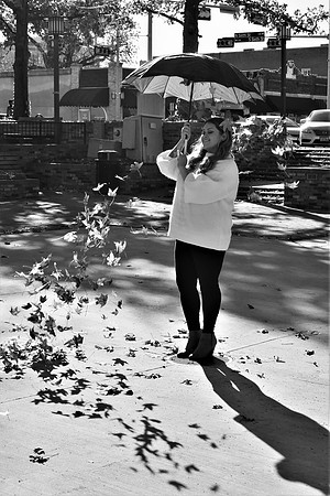 Fun Fall