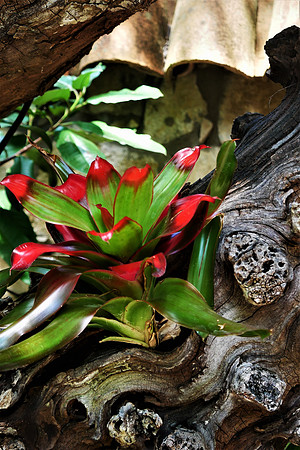 Textures in Nature